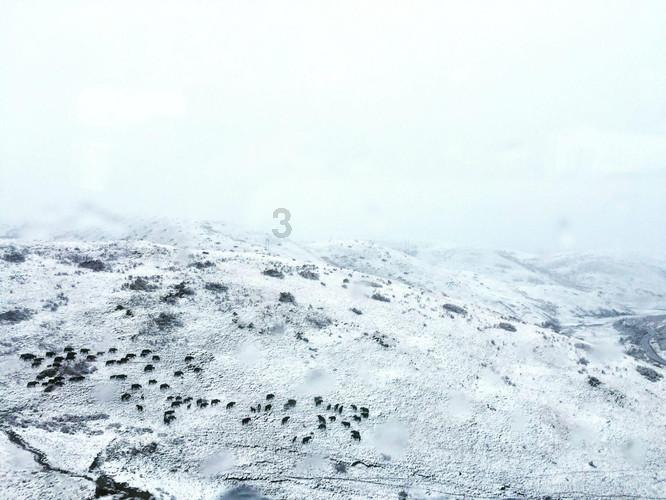 春雨直播app