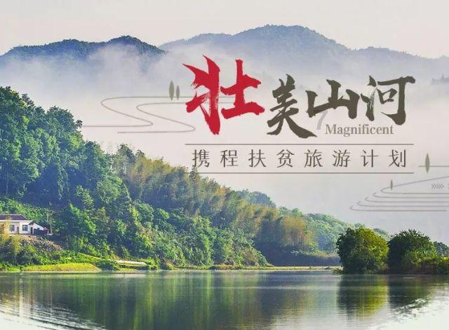 合金装备幸存
