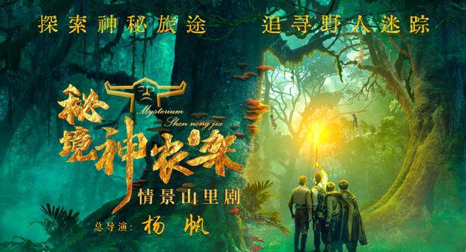 怎么样快速提高手劲 手臂力量和手臂爆发力-您的在线问答专家