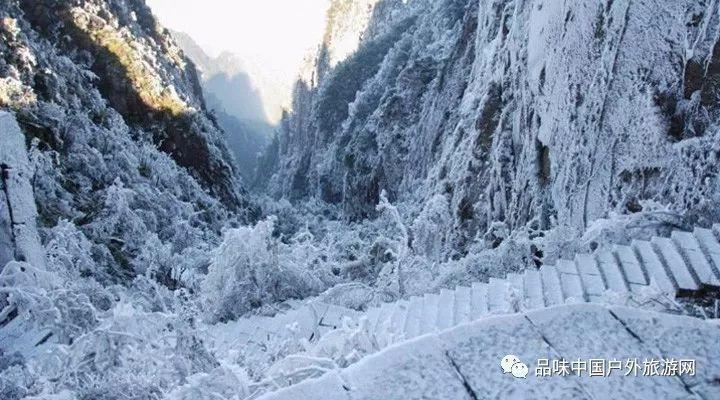 【酉道7分子深度补水】补水喷雾怎么做