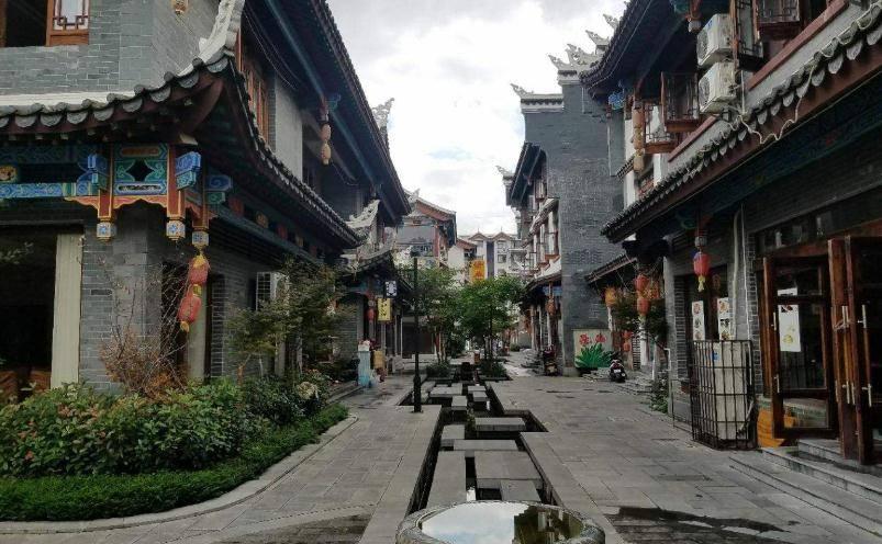 动物帮帮忙保卫家园